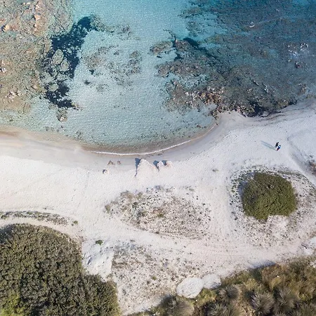 Trilo Caraibi