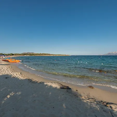 Trilo Caraibi