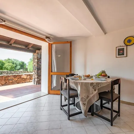 Trilo Caraibi * Olbia